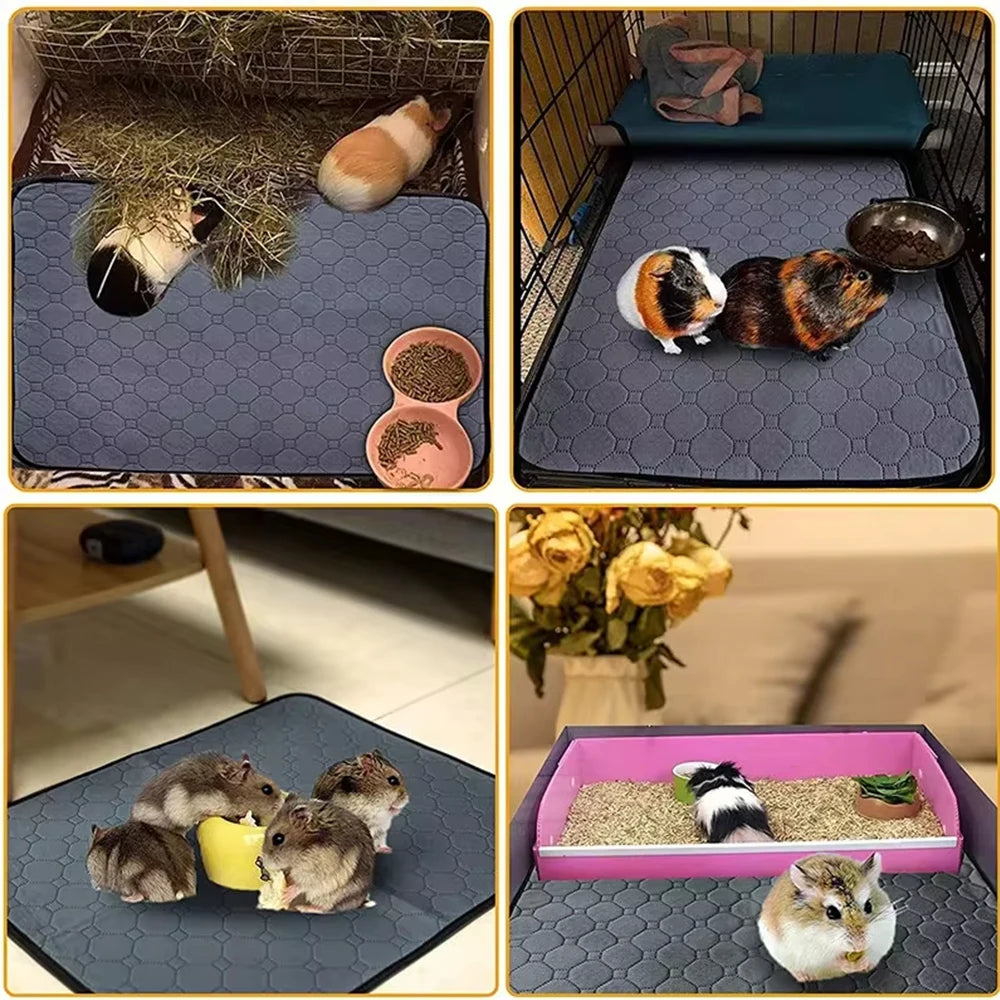 Guinea Pig Bed