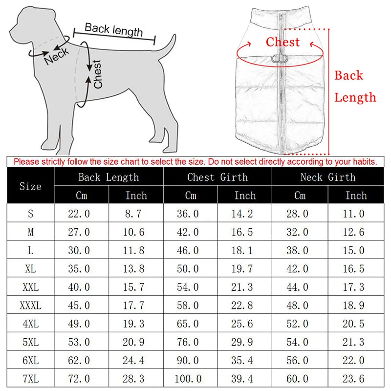 Winter Dog Clothes
