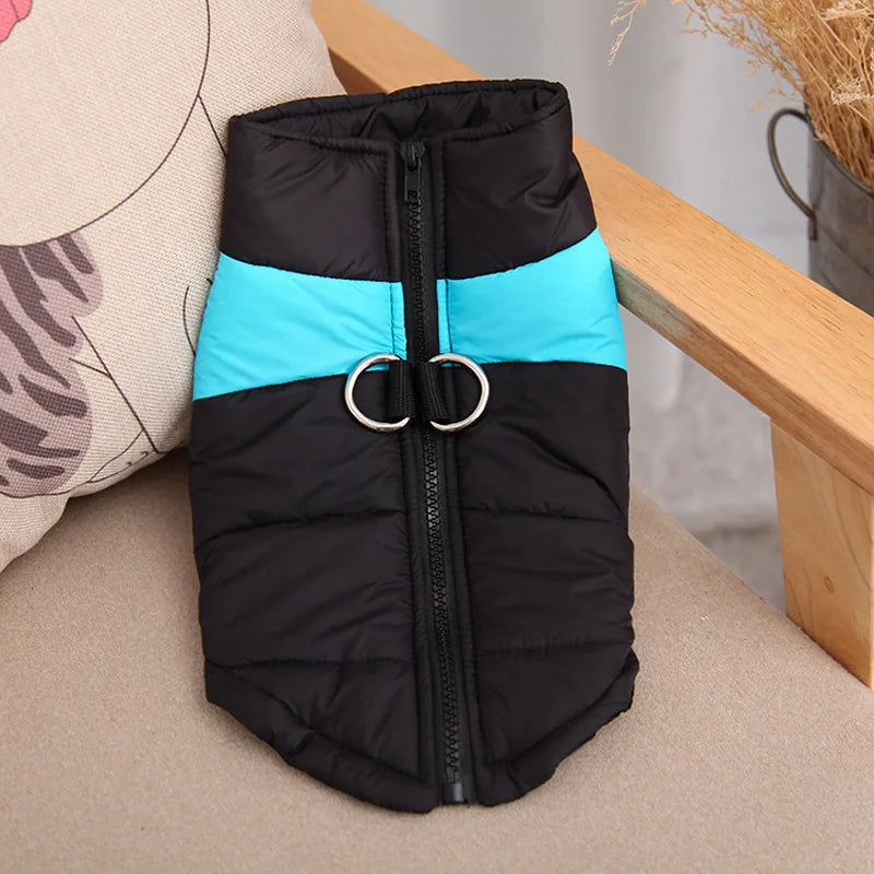 Winter Dog Clothes