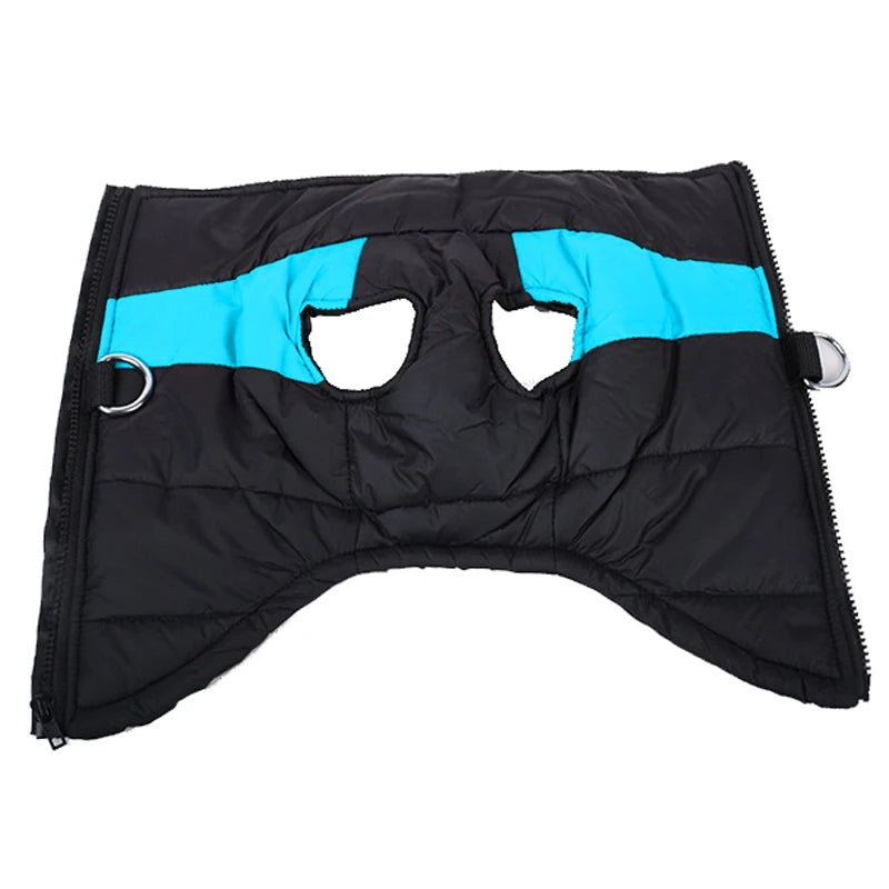 Winter Dog Clothes