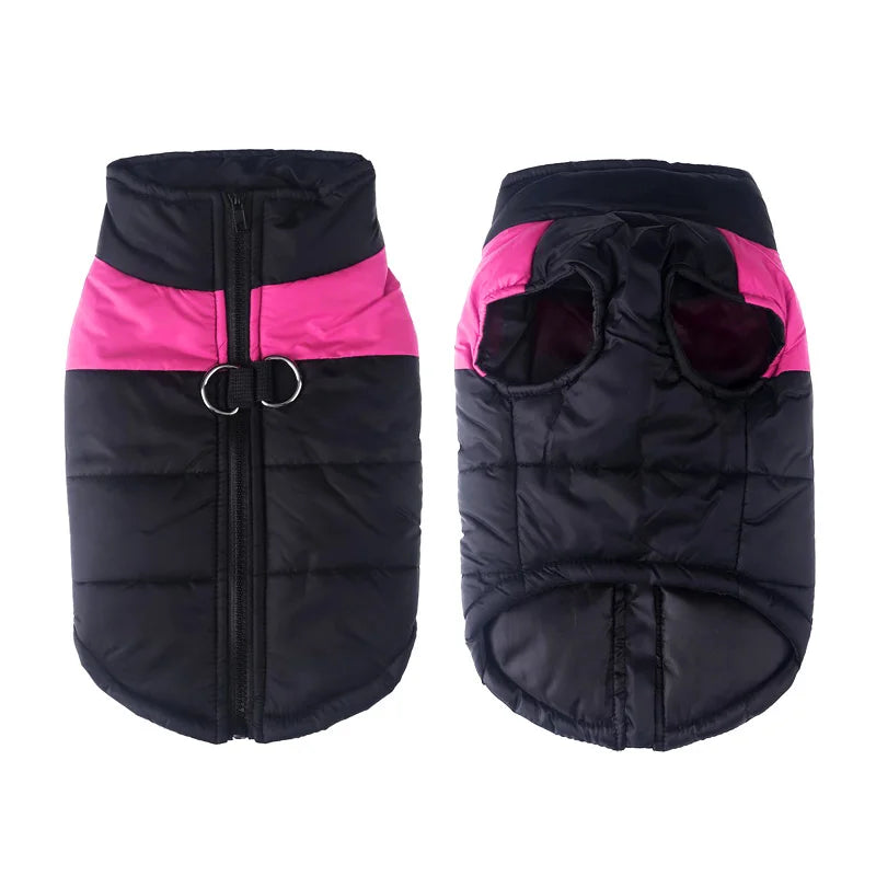Winter Dog Clothes