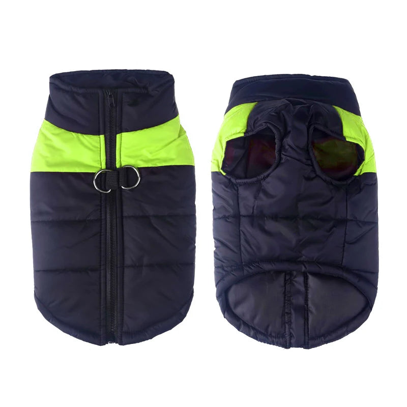 Winter Dog Clothes