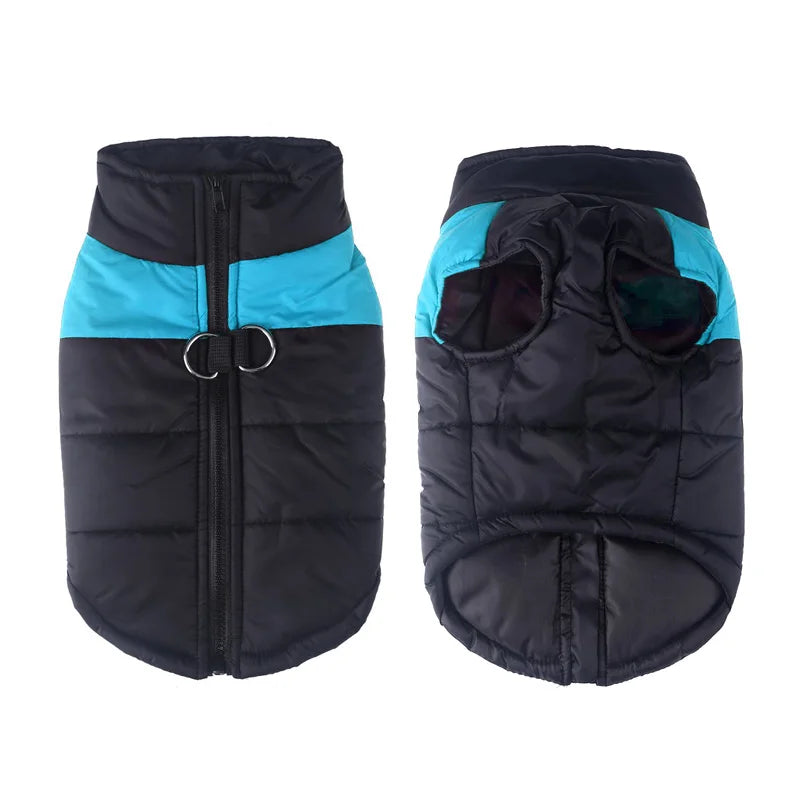 Winter Dog Clothes