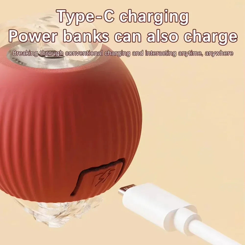 Auto Rolling USB Cat Toy Ball