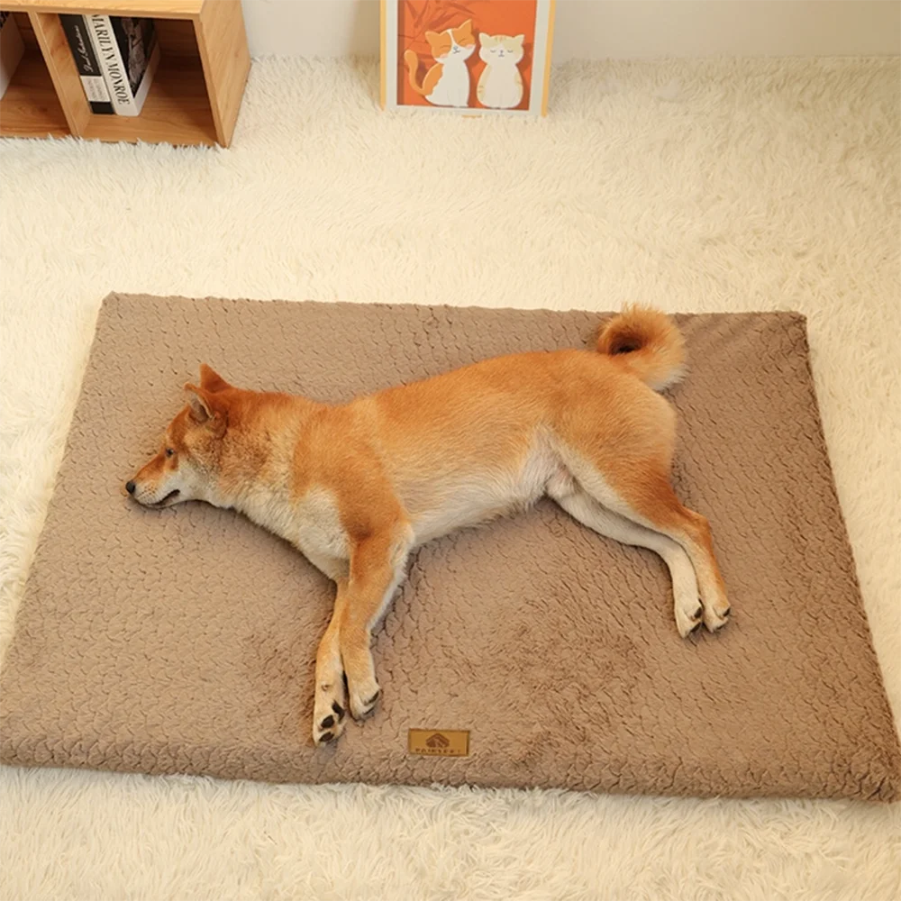 3D Foam Pet Bed