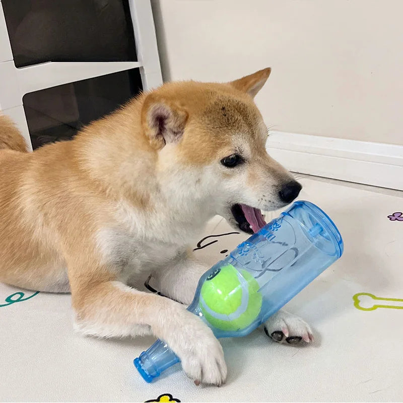 Beer Bottle with Tennis Ball Toy