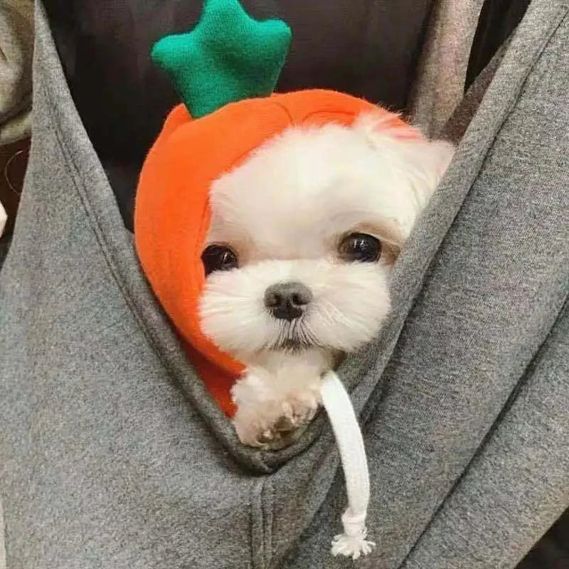 Cute Design Sweater