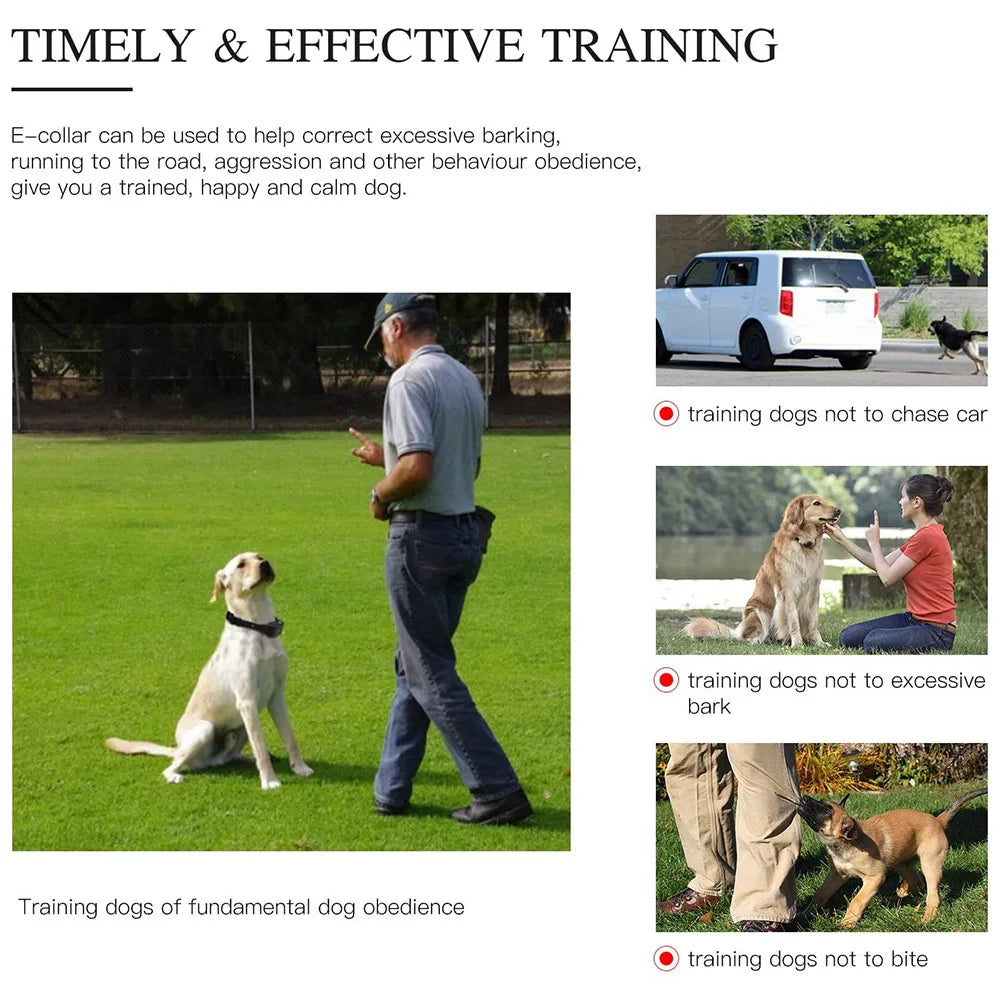 Digital Dog Training Collar