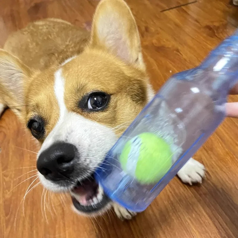 Beer Bottle with Tennis Ball Toy