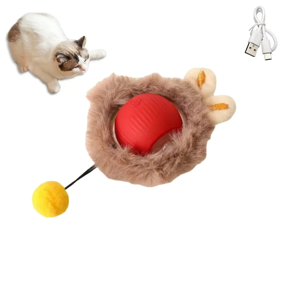 Auto Rolling USB Cat Toy Ball