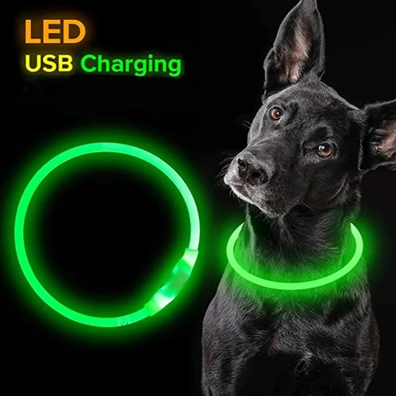 Night walk dog collar