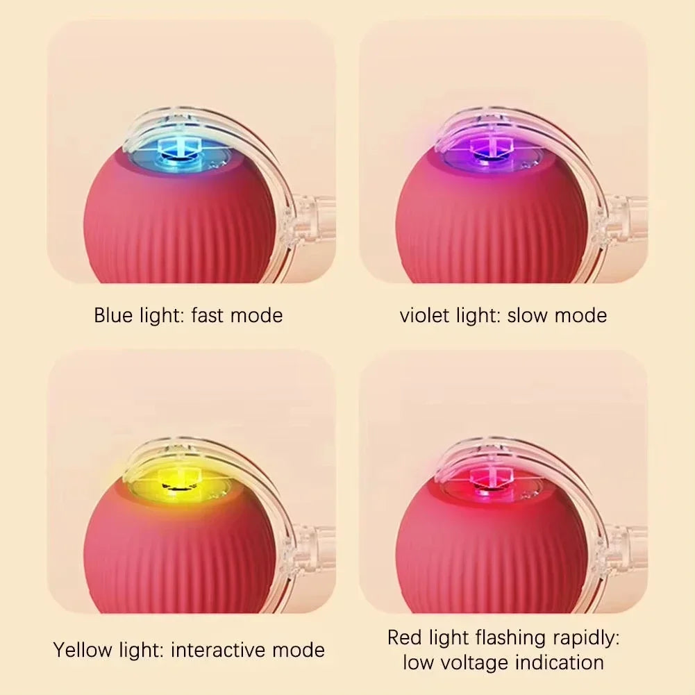 Auto Rolling USB Cat Toy Ball