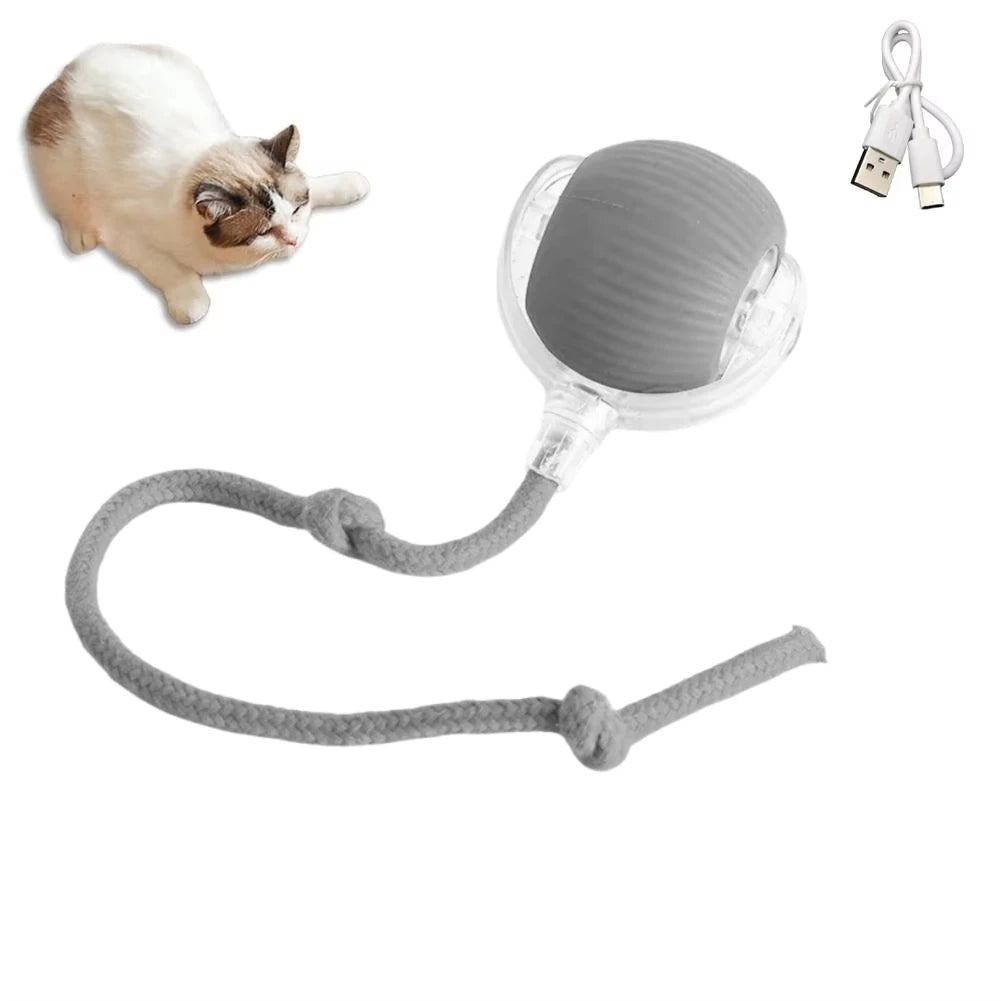 Automatic Rolling Ball Electric Toy for Pets