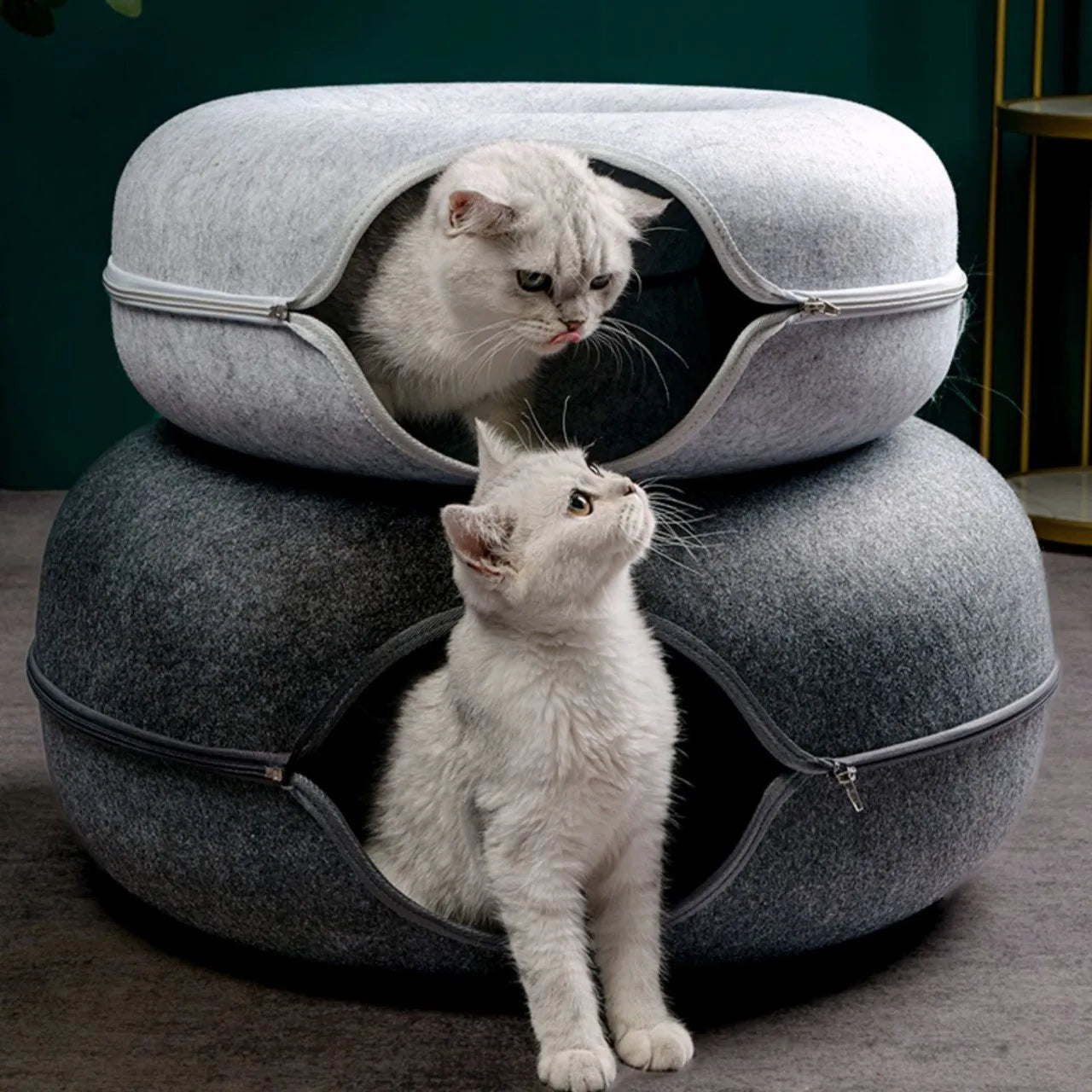 2-in-1 Felt Cat Tunnel & Bed