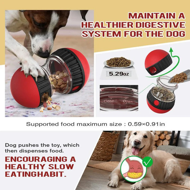 Indoor Training Puppy Toys
