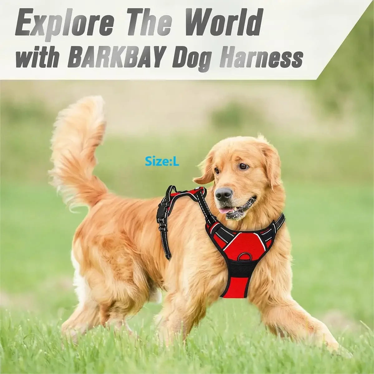 Dog Harness Front Clip