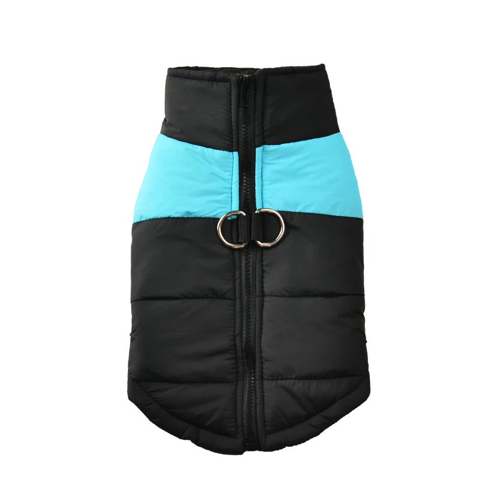 Autumn Jacket With D-ring