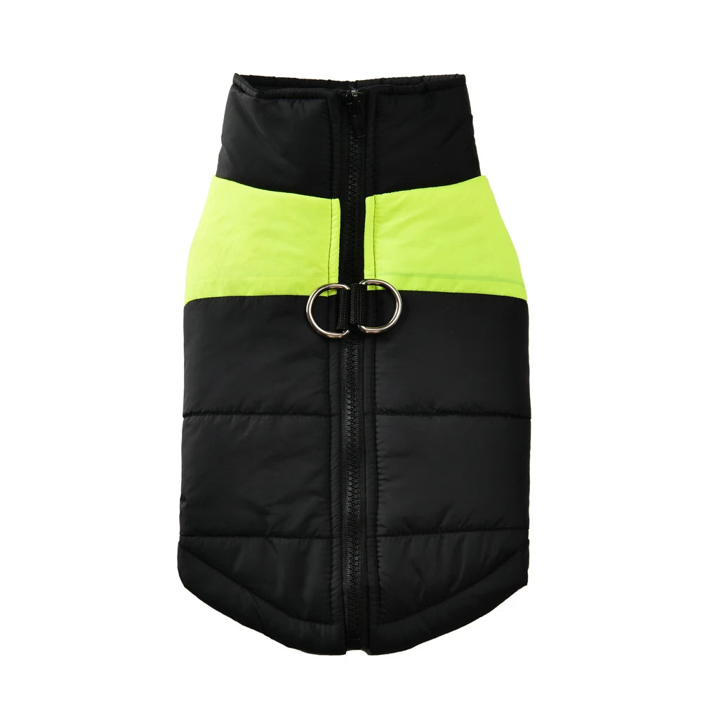 Autumn Jacket With D-ring