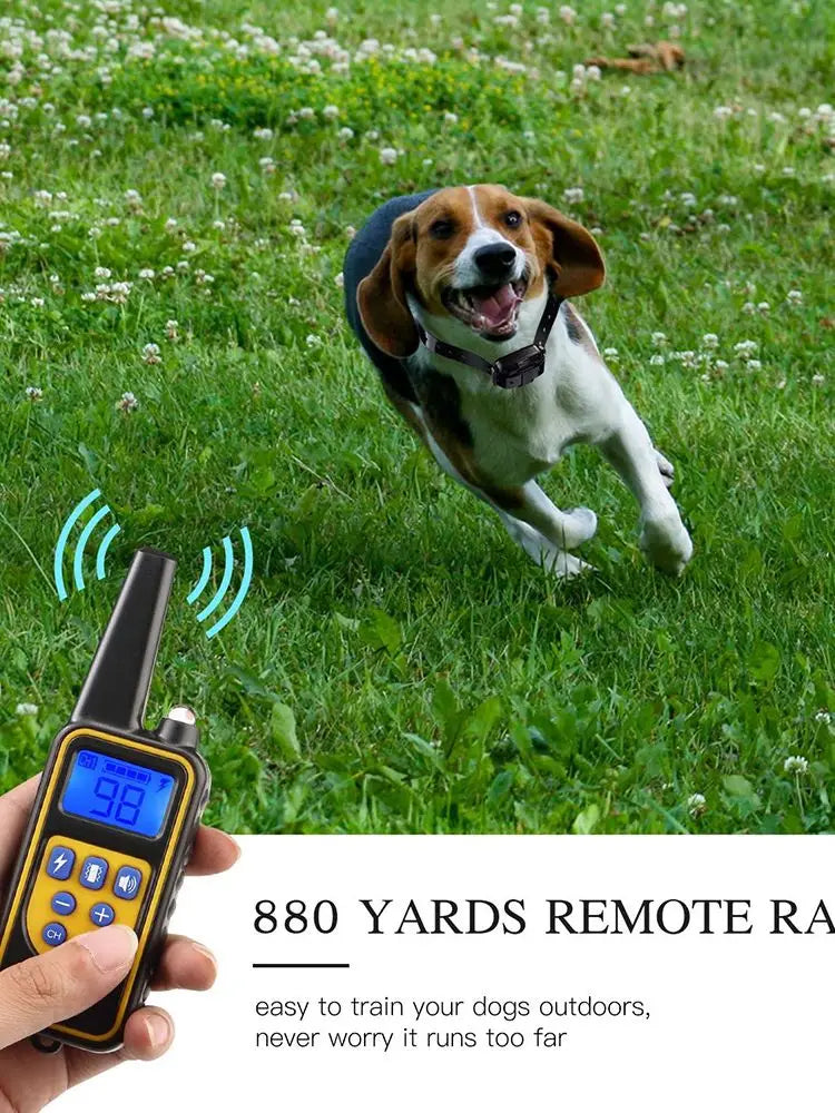 Digital Dog Training Collar