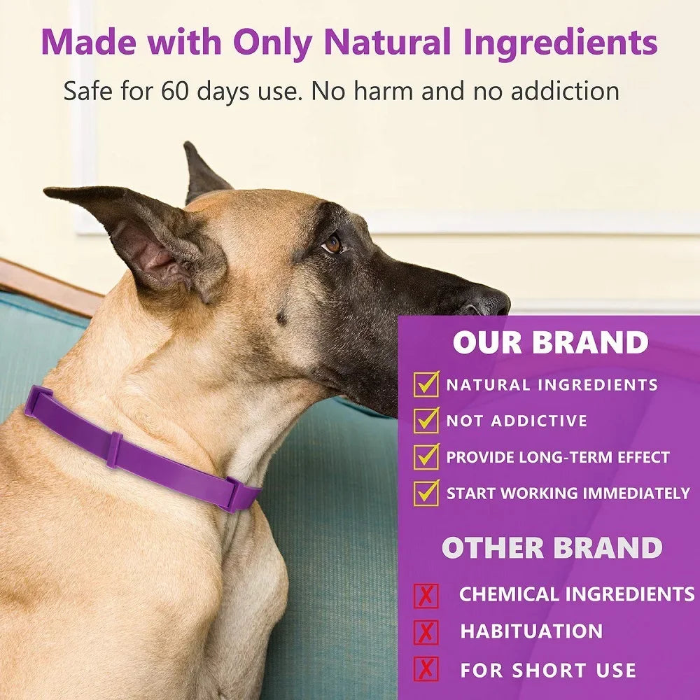 CalmPet Collar