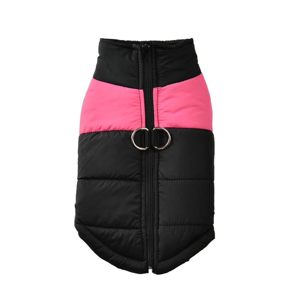 Autumn Jacket With D-ring