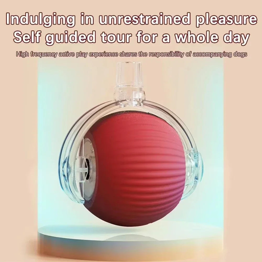 Auto Rolling USB Cat Toy Ball