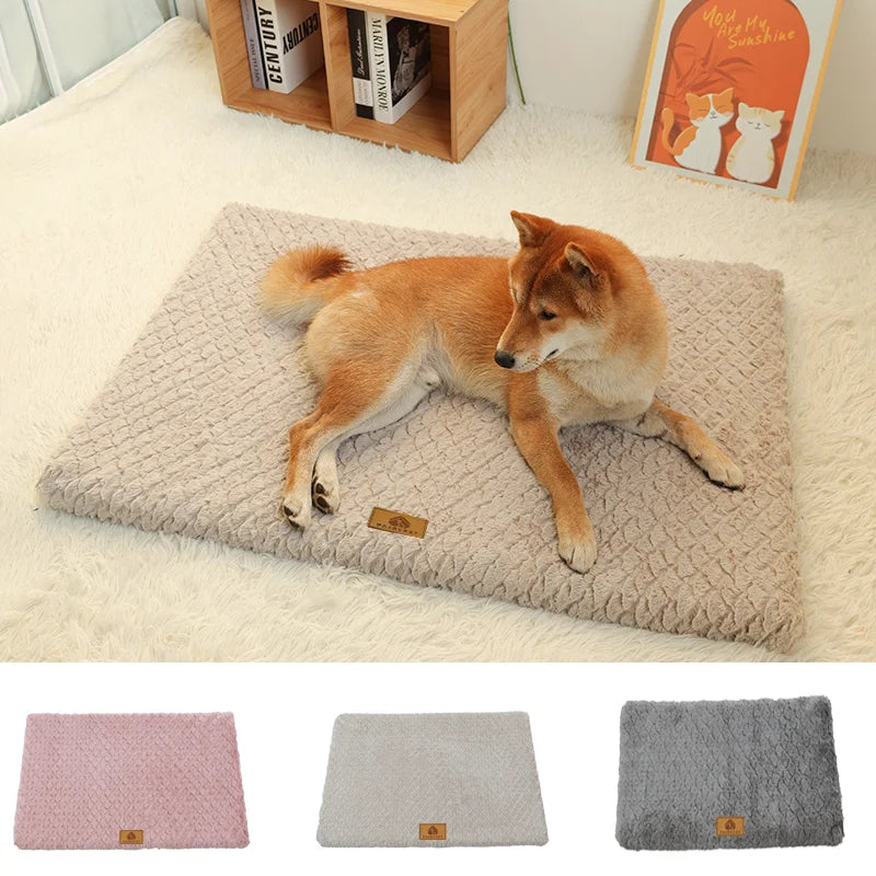 3D Foam Pet Bed