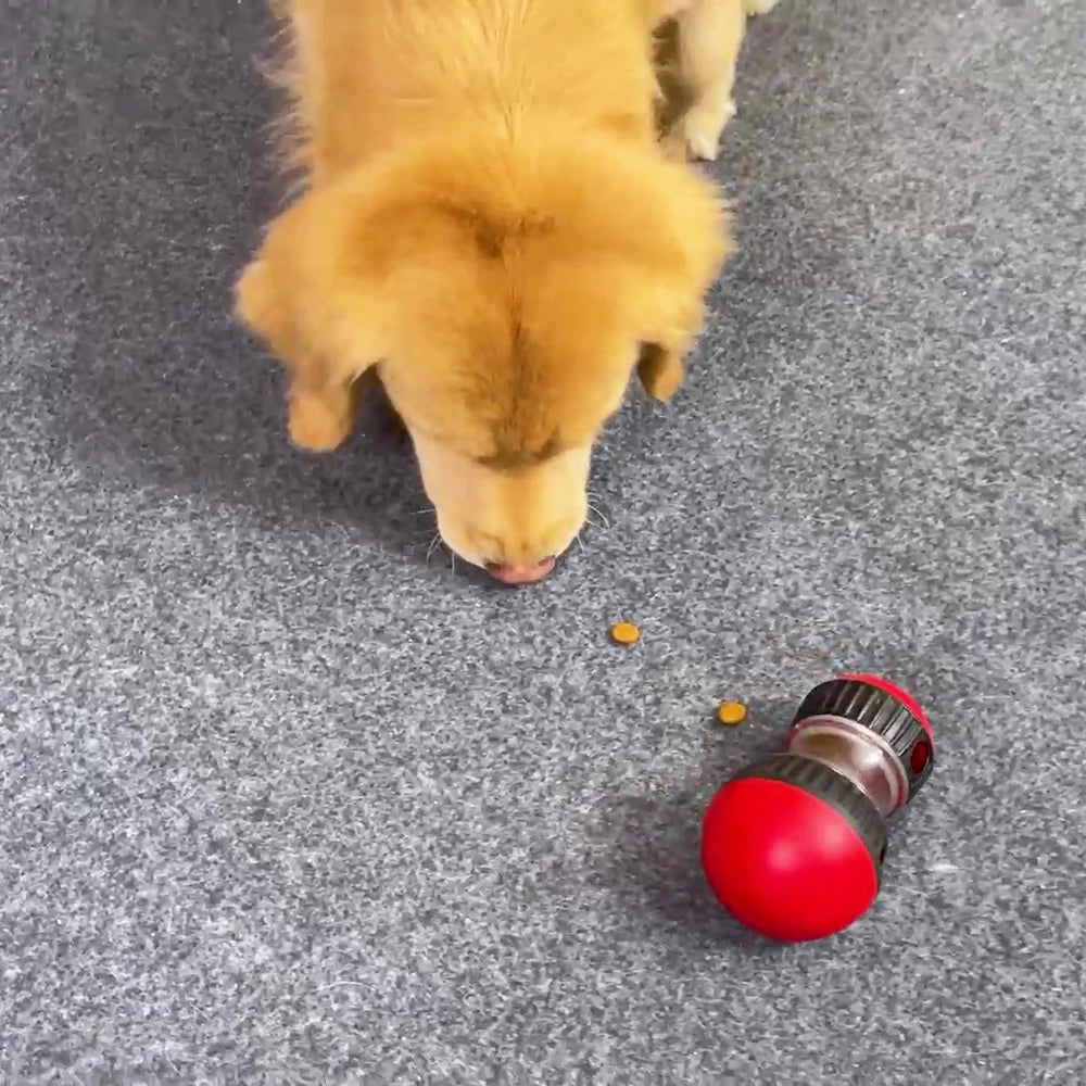 Indoor Training Puppy Toys