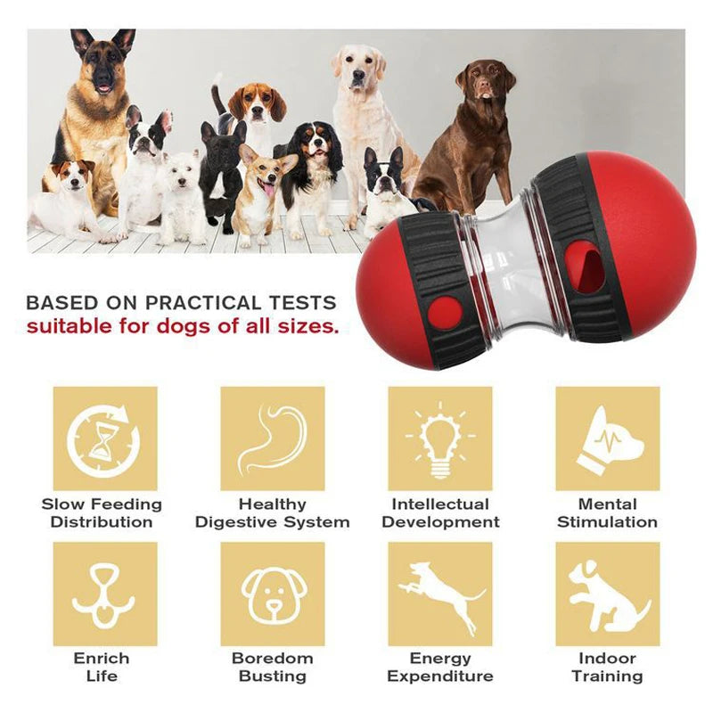 Indoor Training Puppy Toys