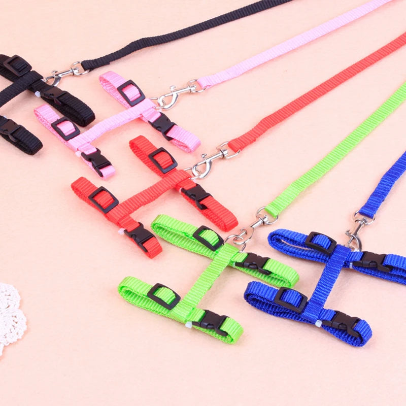 I-Grip Cat & Dog Leash