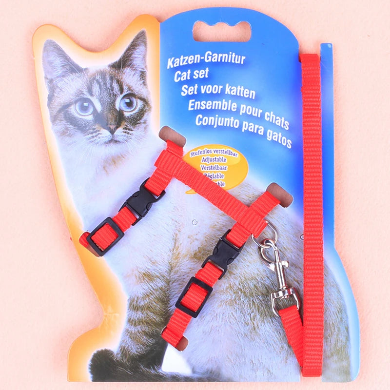 I-Grip Cat & Dog Leash