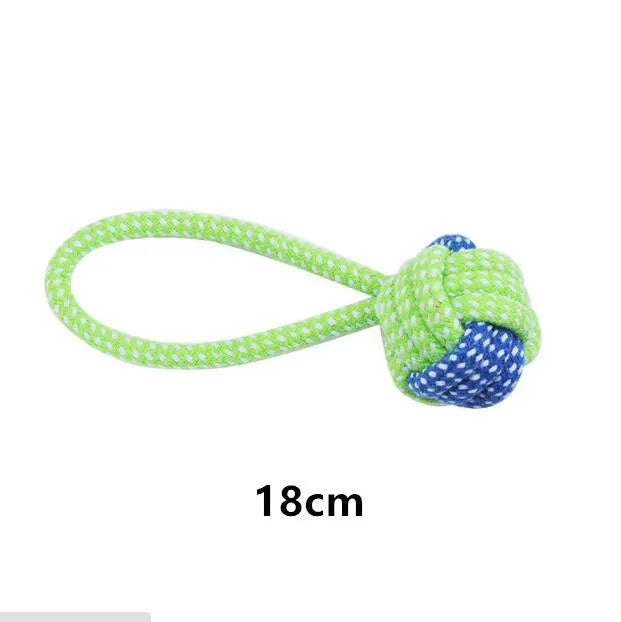 Toothbrush Chew Puppy Toy