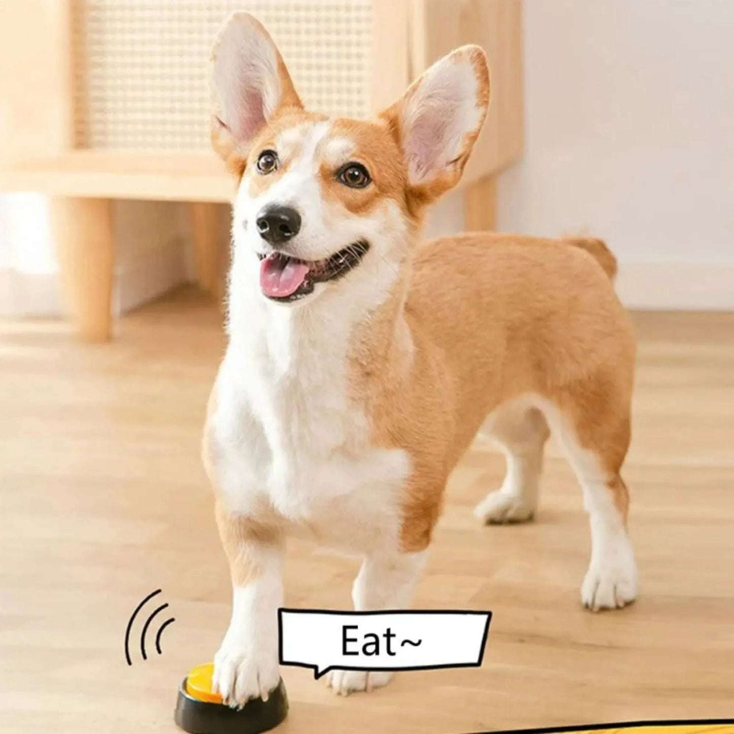Pet Communication Buttons & Voice Recording Button