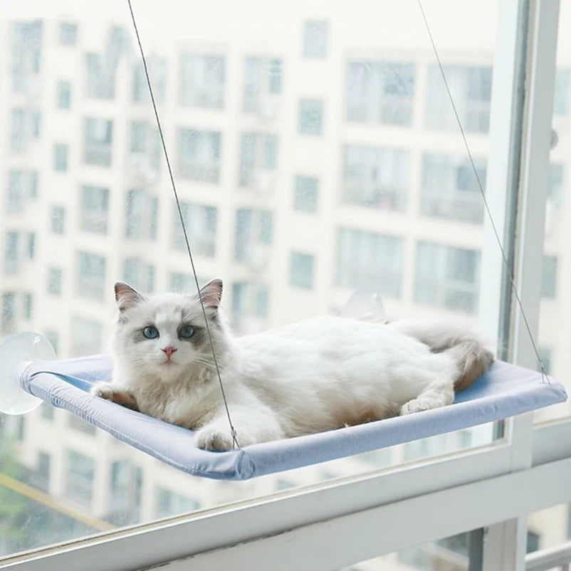 Pet cat hammock