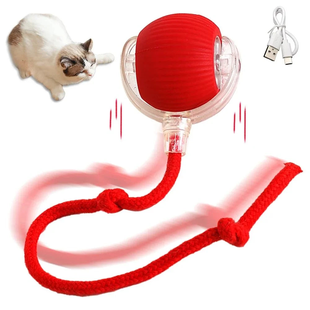 Automatic Rolling Ball Electric Toy for Pets