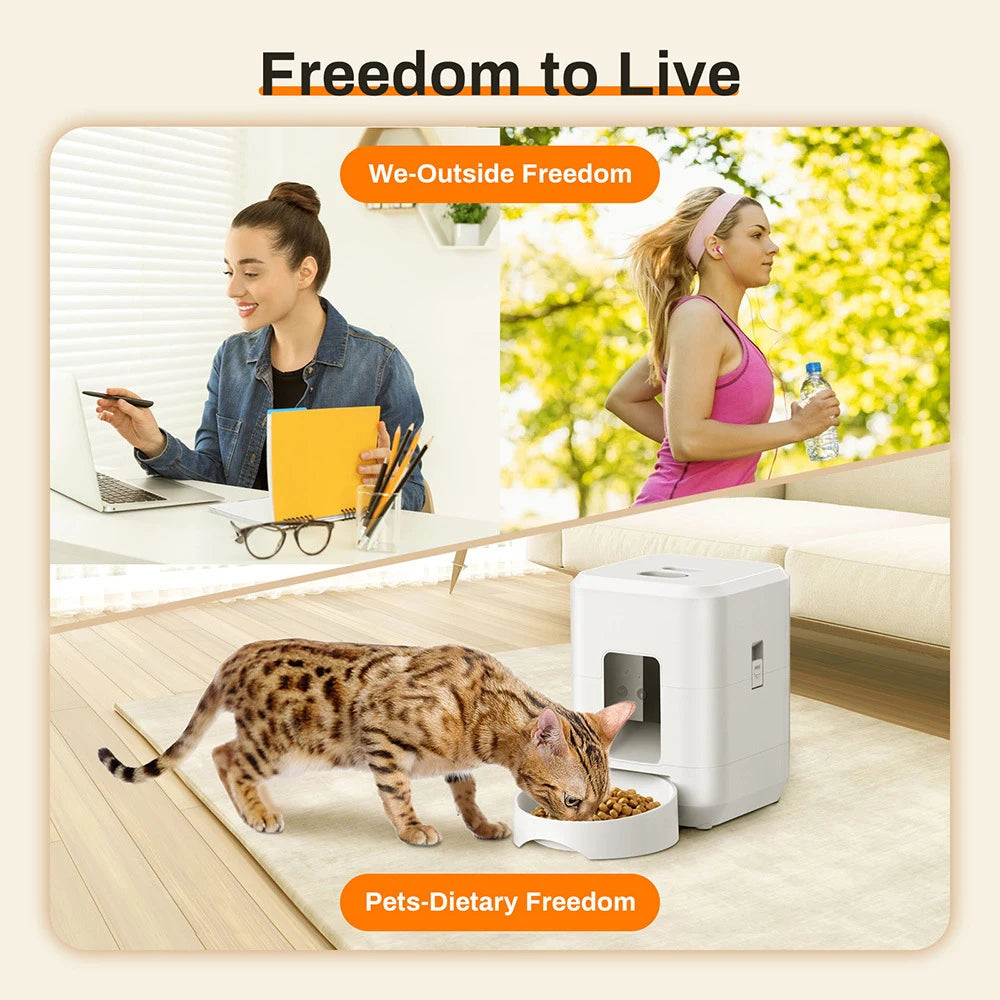 Timing Smart Automatic Pet Feeder