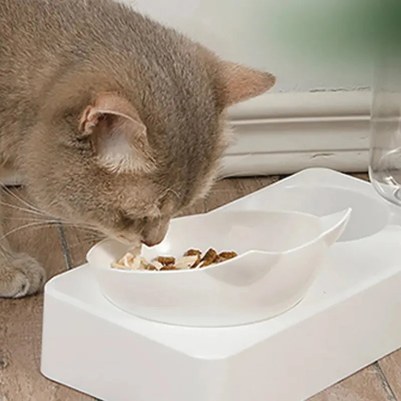 New Pet Bowl Feeder
