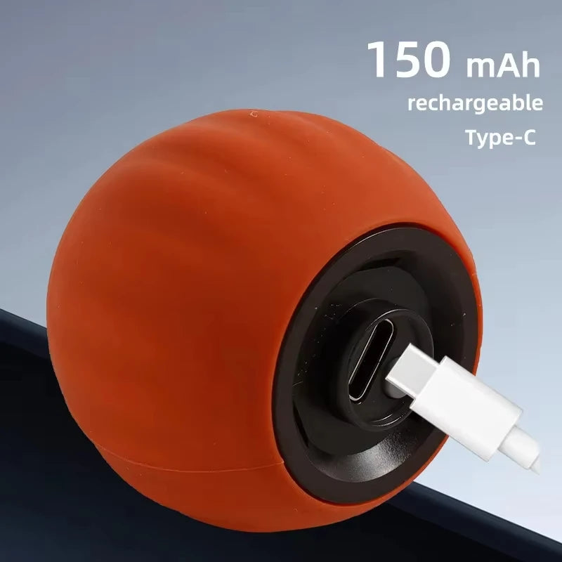Automatic Rolling Ball Electric Toy for Pets