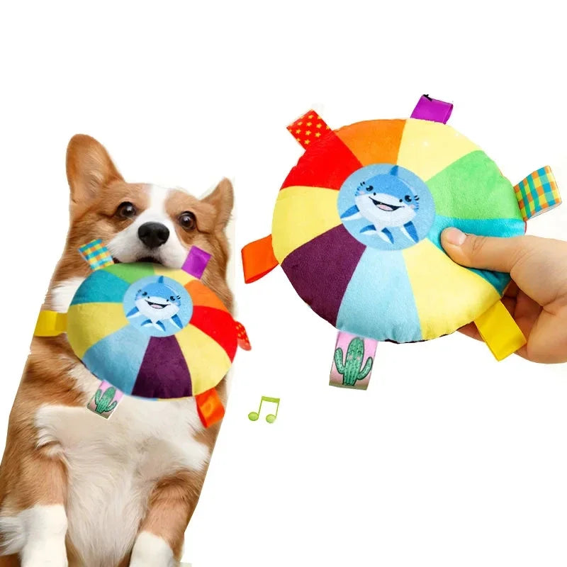 Rainbow Flying Dog Disc