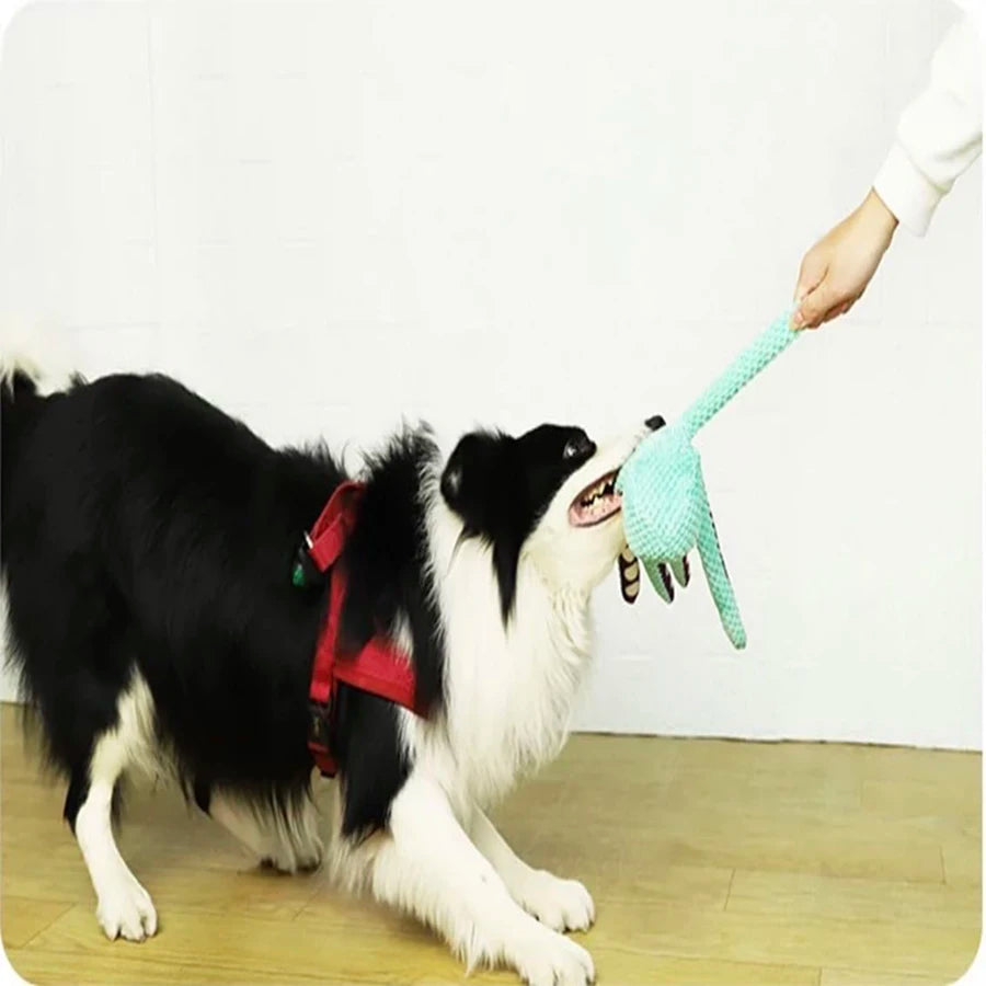 Dog plush octopus toy