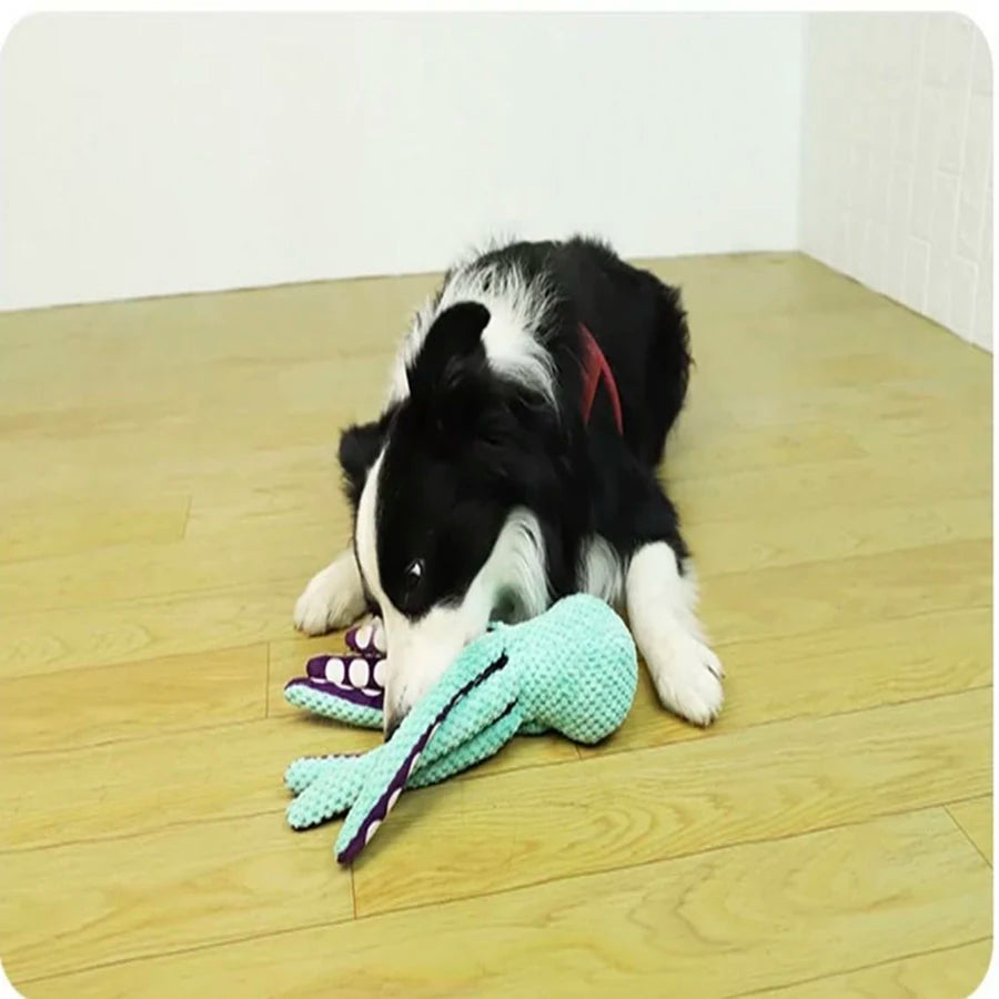 Dog plush octopus toy