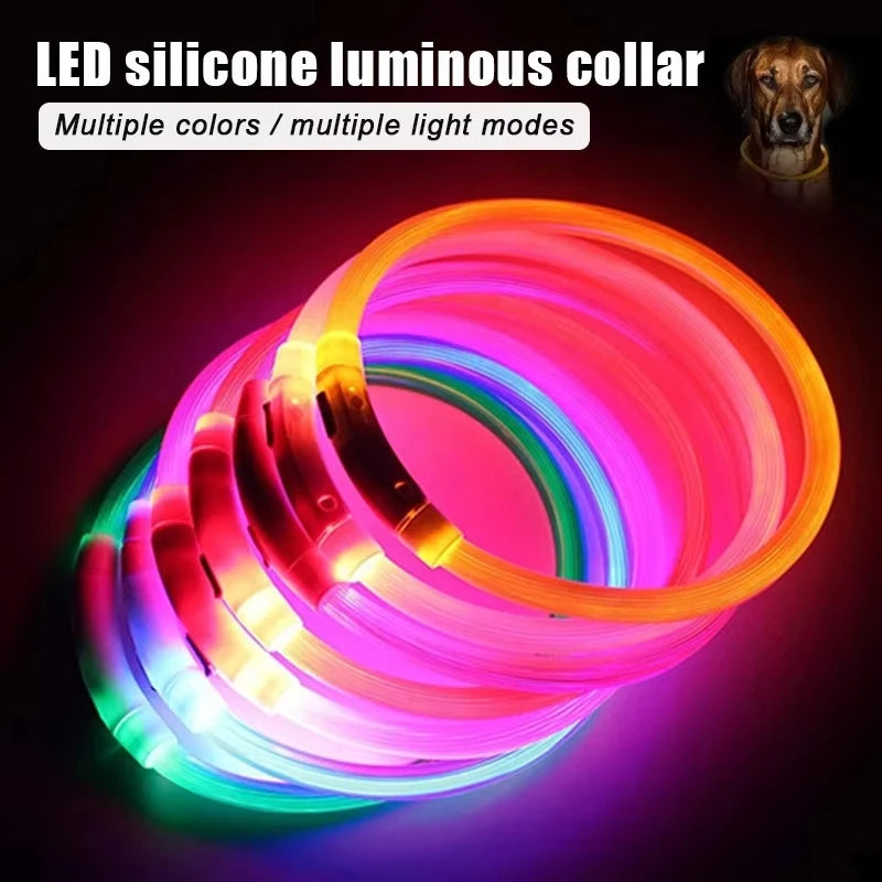 Night walk dog collar