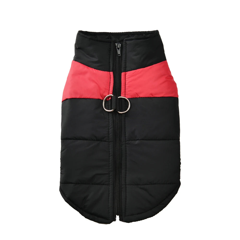 Autumn Jacket With D-ring
