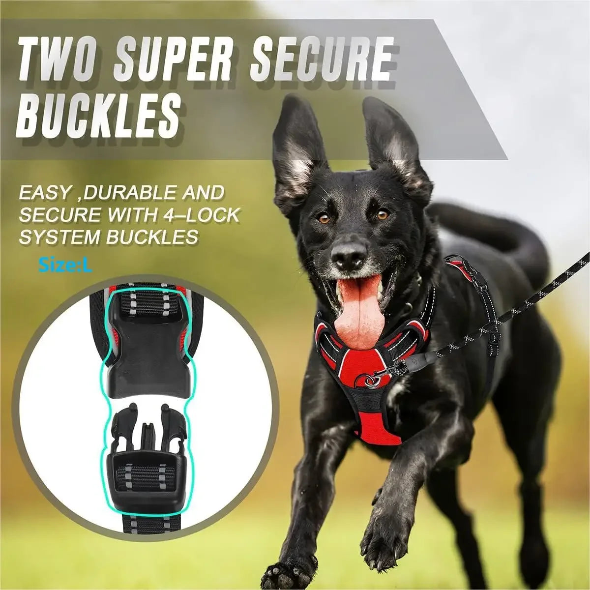 Dog Harness Front Clip
