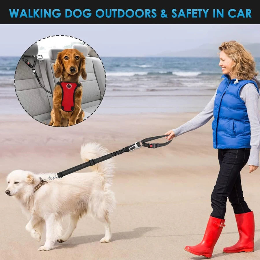 Pet car seat belt rope