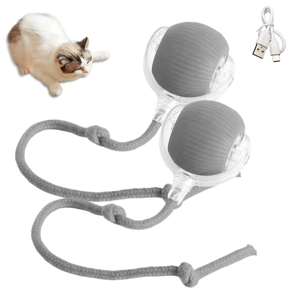 Automatic Rolling Ball Electric Toy for Pets