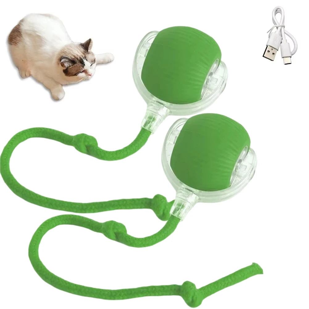 Automatic Rolling Ball Electric Toy for Pets