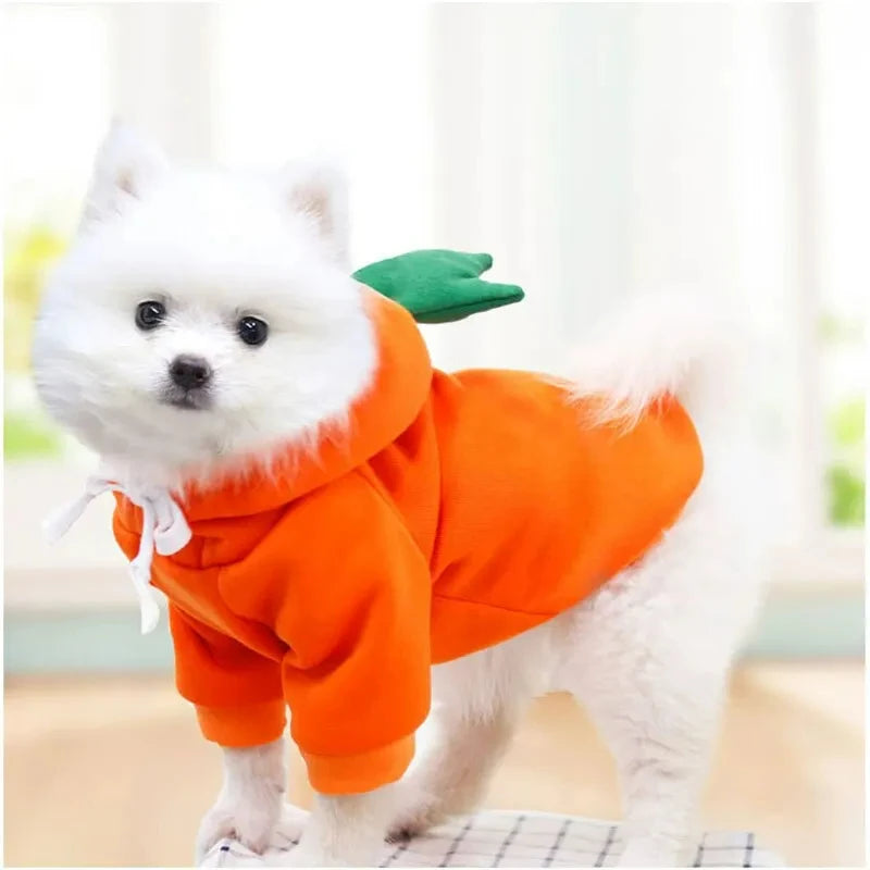 Cute Design Sweater