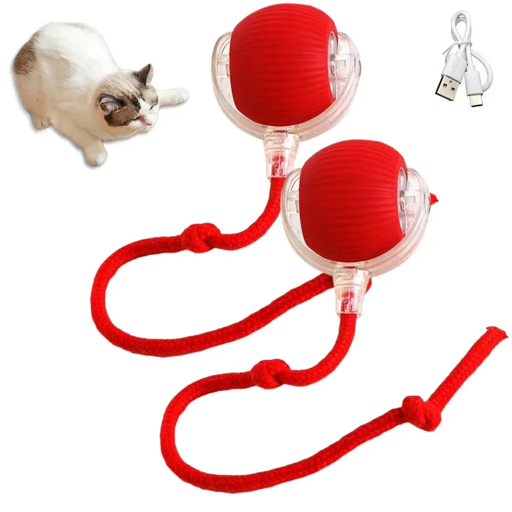 Automatic Rolling Ball Electric Toy for Pets