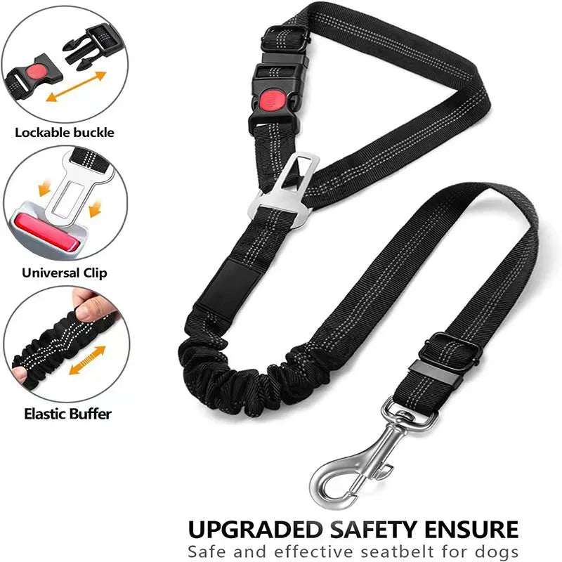 Pet car seat belt rope